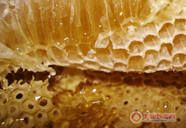 雪峰山唐氏蜂蜜加盟